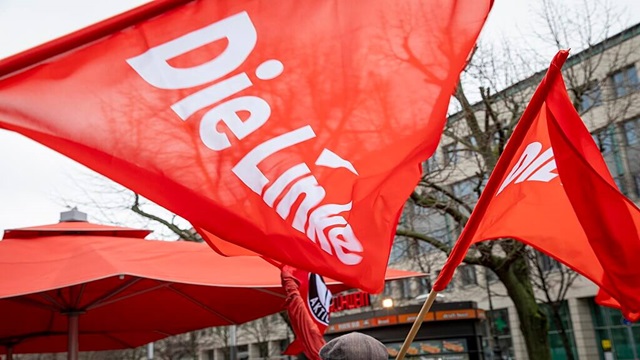 Die Linke flags