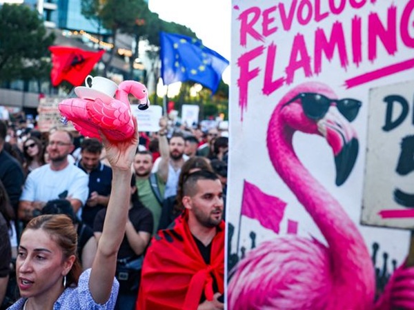 Albanian protesters hold up placard with a pink flamingo