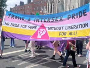 Trans and Intersex banner