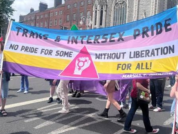 Trans and Intersex banner