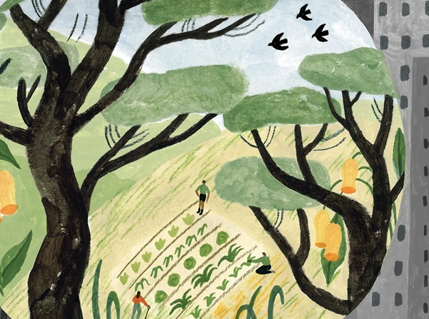 Image of trees, wheatfields and flats